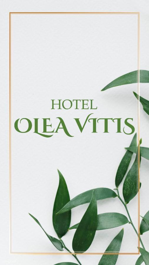 Olea Vitis Hotel Međugorje Exterior foto